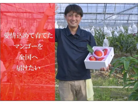 あなたにお願いしたいお仕事についての画像