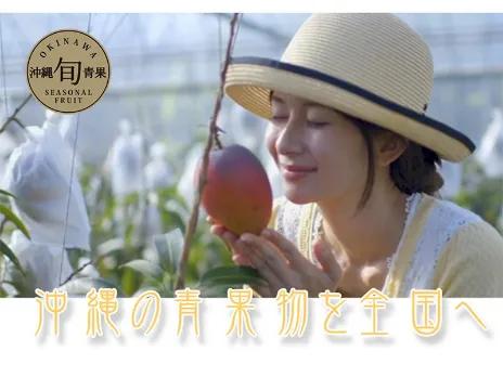 あなたにお願いしたいお仕事についての画像