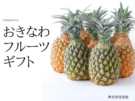 会社説明の画像