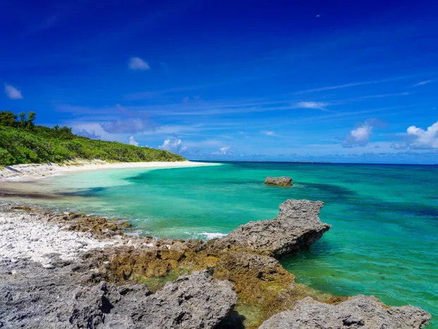 会社説明の画像