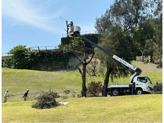 あなたにお願いしたいお仕事についての画像