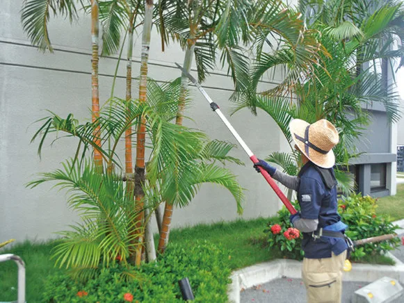 造園作業員の画像