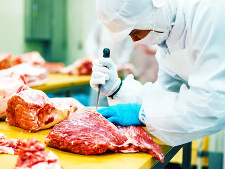 食肉加工スタッフ（工場内での加工作業）の画像