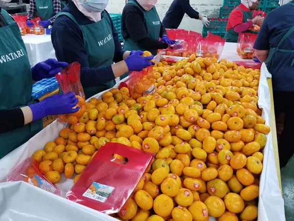 あなたにお願いしたいお仕事についての画像