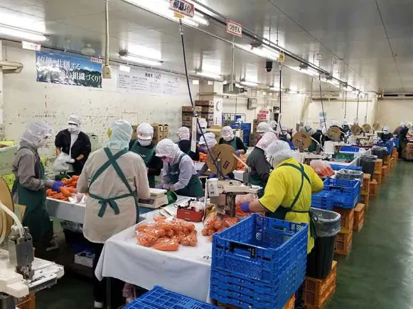 会社説明の画像