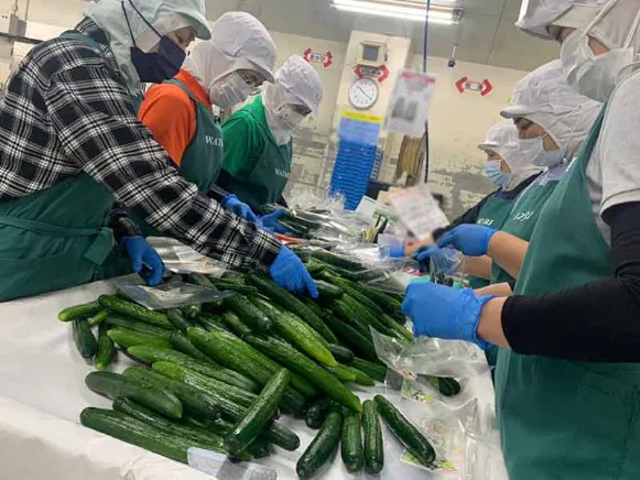 会社説明の画像