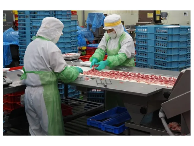 あなたにお願いしたいお仕事についての画像