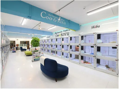 会社説明の画像