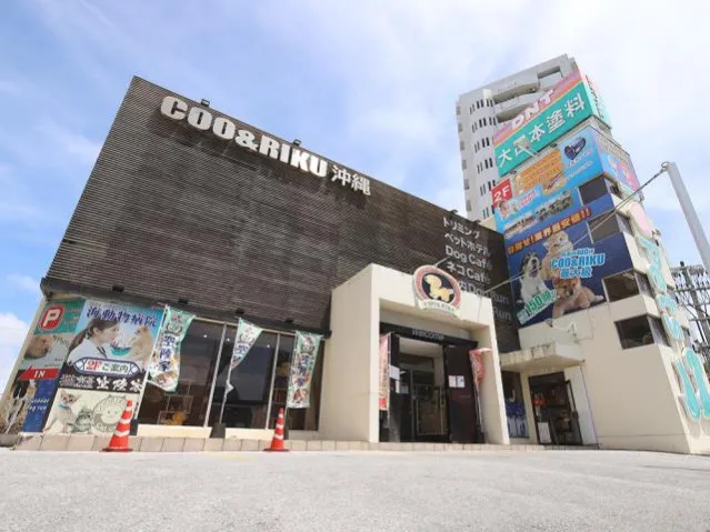 会社説明の画像