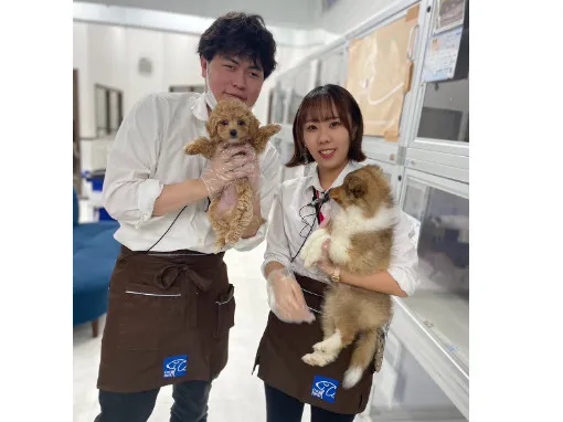 販売スタッフ【ワンちゃんやネコちゃんの生体管理や接客対応業務など】の画像