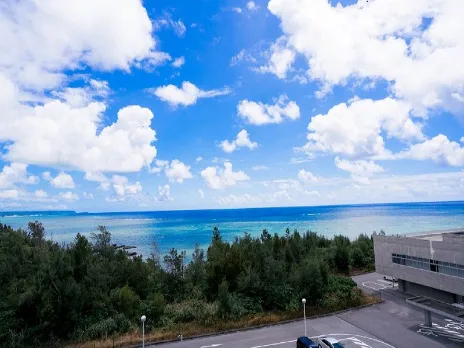 あなたにお願いしたいお仕事についての画像