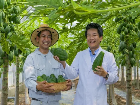 あなたにお願いしたいお仕事についての画像