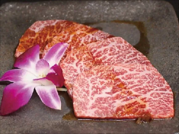 会社説明の画像