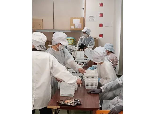 あなたにお願いしたいお仕事についての画像