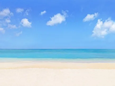 (超短期・単発)接客スタッフの画像