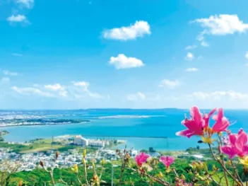 会社説明の画像