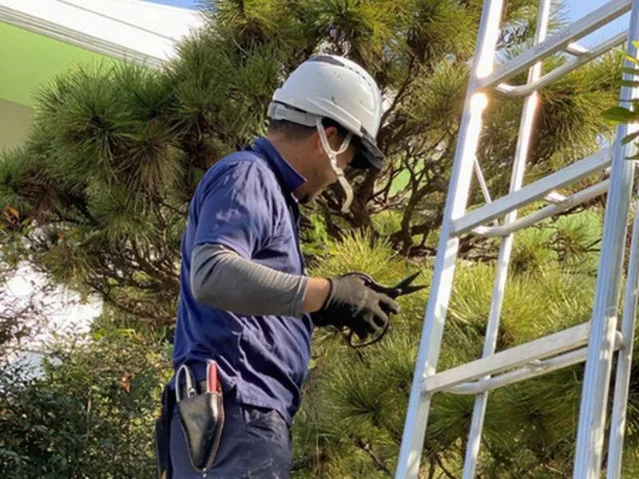 あなたにお願いしたいお仕事についての画像