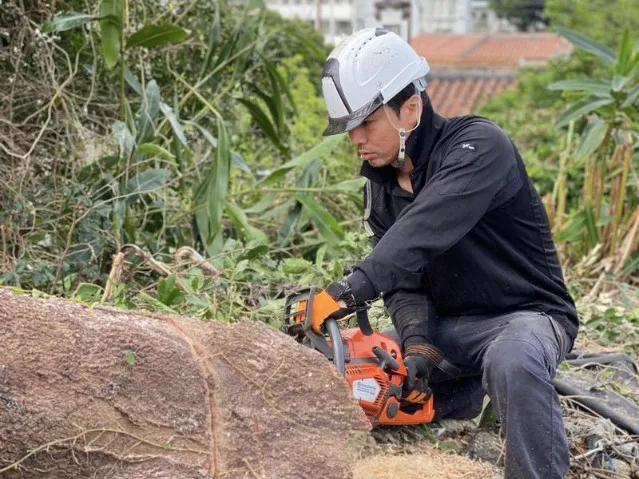 草木伐採スタッフ（未経験可）【木の剪定や伐採草刈りなどの作業】の画像