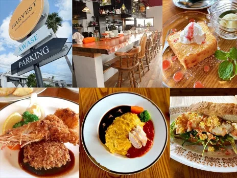 会社説明の画像