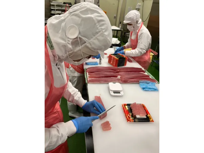 工場内鮮魚加工スタッフ（未経験可）【工場内での鮮魚のカッティングや包装作業など】の画像