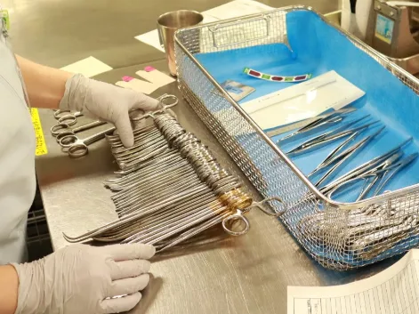 あなたにお願いしたいお仕事についての画像