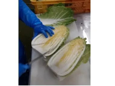 あなたにお願いしたいお仕事についての画像