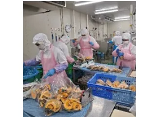 あなたにお願いしたいお仕事についての画像