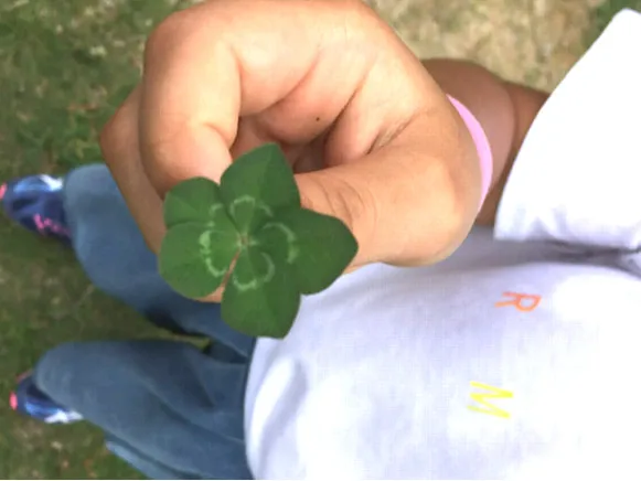 学童保育補助員（未経験者可）【放課後児童の遊びや生活面の安全管理】の画像