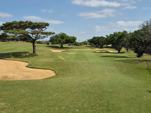 あなたにお願いしたいお仕事についての画像