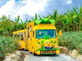 あなたにお願いしたいお仕事についての画像