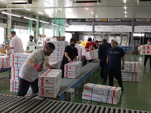 （短期）花箱の積み下ろしスタッフ【流れてくる花箱を仕分けする軽作業】の画像