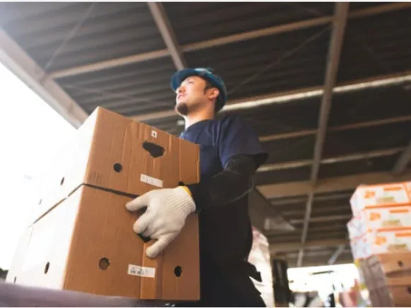 あなたにお願いしたいお仕事についての画像