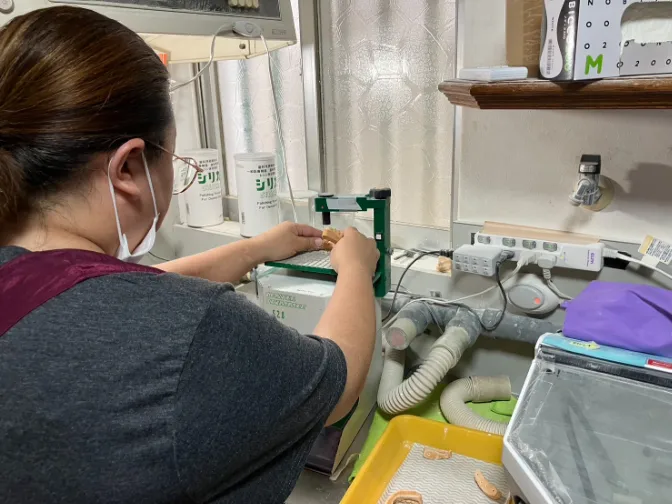 歯科技工補助スタッフ【模型作りなどの歯科技工補助業務】の画像