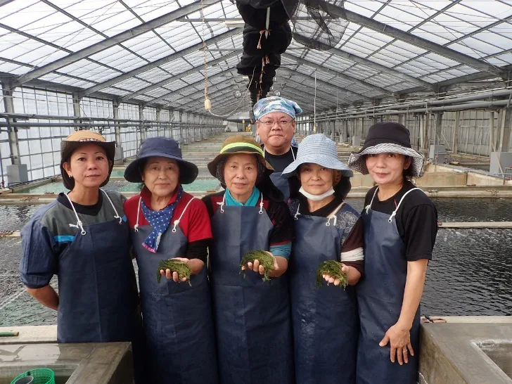 会社説明の画像