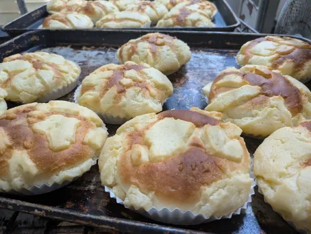 会社説明の画像