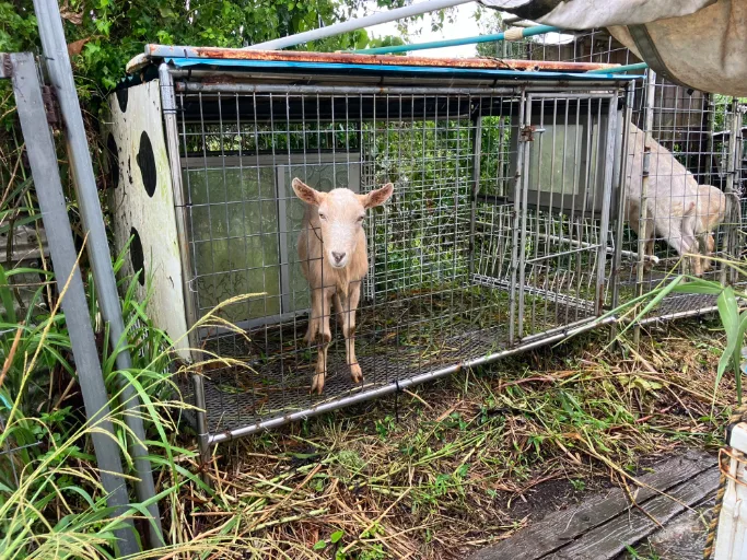 会社説明の画像