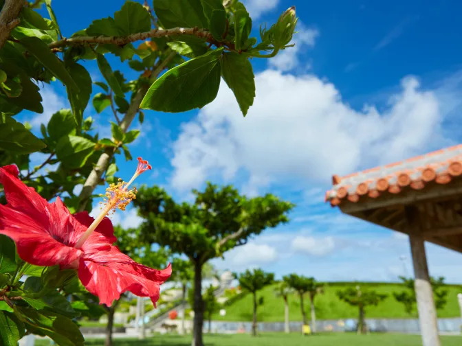 会社説明の画像