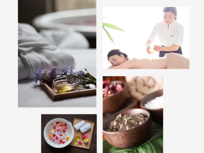 会社説明の画像