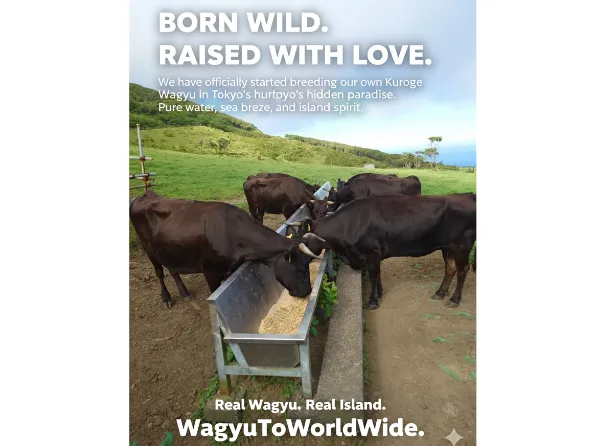 会社説明の画像