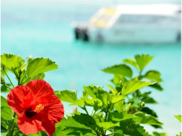 会社説明の画像