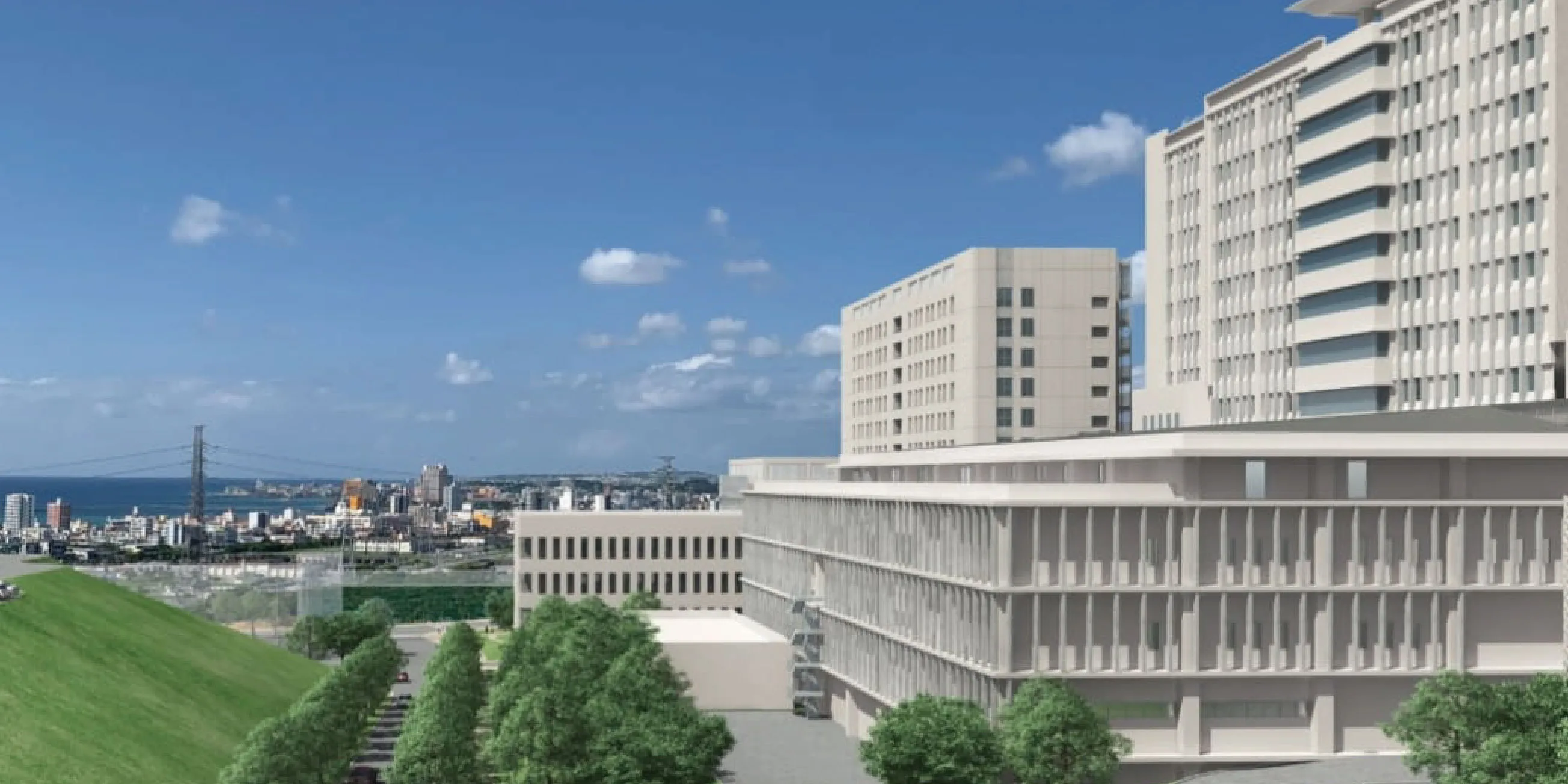琉球 大学 医学部