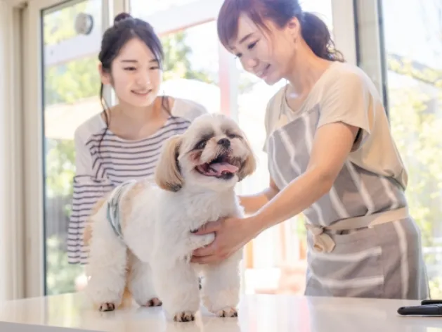 (無資格・未経験可)ペットショップスタッフ【ペットの餌やりやシャンプーなど】の画像