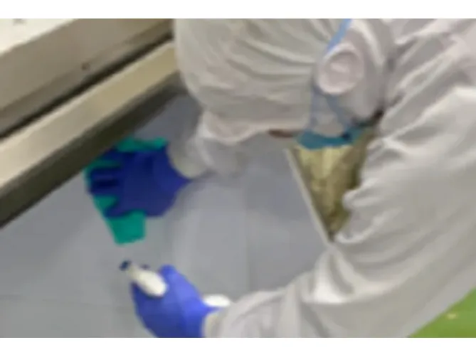 あなたにお願いしたいお仕事についての画像