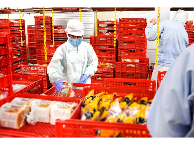 あなたにお願いしたいお仕事についての画像