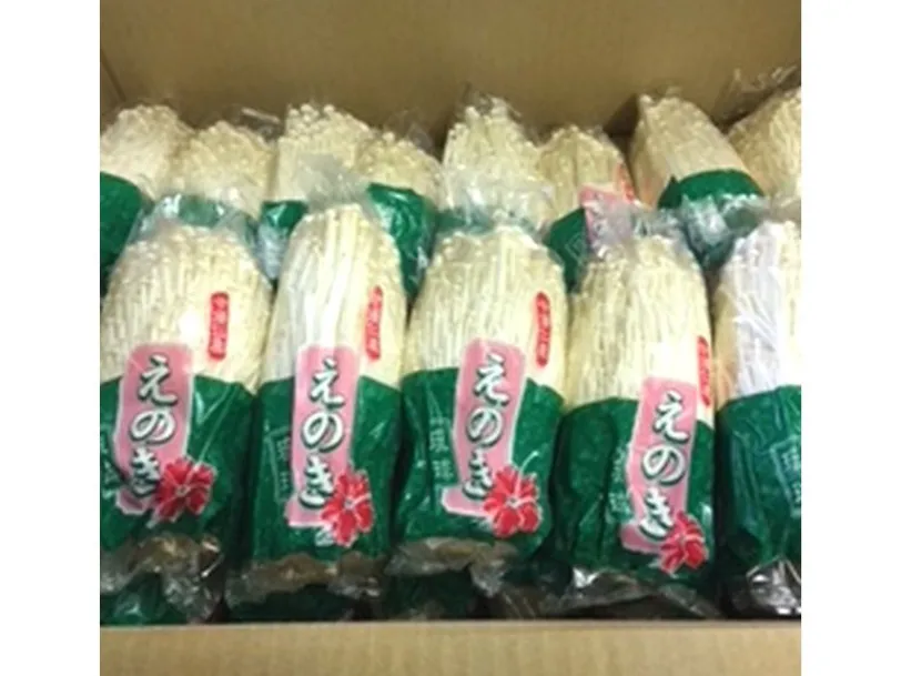 えのき包装スタッフ【工場内にてえのき茸の収穫と包装のみのモクモク作業】の画像