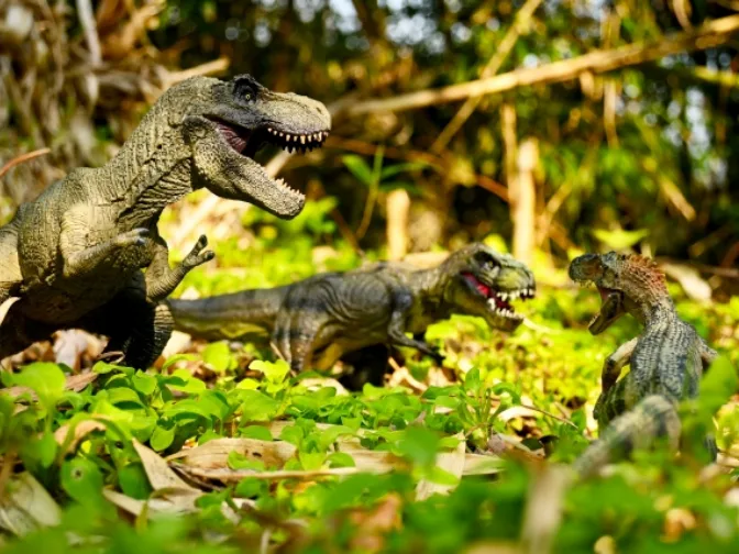 あなたにお願いしたいお仕事についての画像