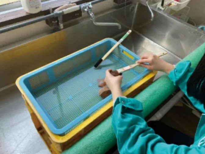 あなたにお願いしたいお仕事についての画像