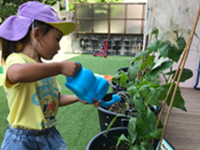 あなたにお願いしたいお仕事についての画像