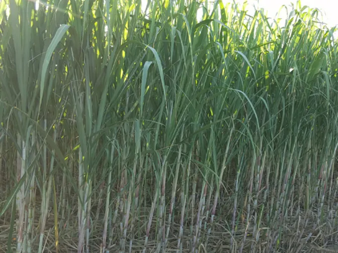 あなたにお願いしたいお仕事についての画像