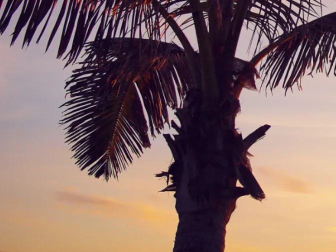 私たちの会社（店舗）についての画像